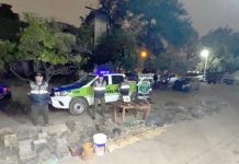 Golpe al tráfico ilegal de fauna silvestre: Rescatan 193 aves silvestres y gallos de riña