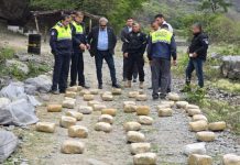 Golpe al narcotráfico: Secuestran más de 300 kilos de marihuana