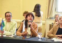 Sesionó el Consejo Federal de Niñez, Adolescencia y Familia