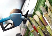 La Secretaria de Energía fija nuevos precios para el bioetanol en noviembre