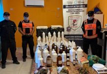 Incautan marihuana, químicos y hojas de coca en un control fronterizo