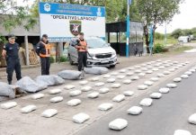En la lucha frontal contra el narcotráfico, la Policía secuestró alrededor de 120 kilos de marihuana