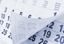 Feriado 2025: cuándo es el fin de semana largo de 4 días en noviembre