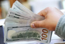 Los argentinos compraron más de USD 20.000 millones desde la apertura del cepo cambiario