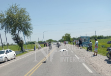 una mujer de 80 años murió tras ser atropellada en la ruta 306