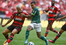 Palmeiras y Flamengo buscan la gloria en la copa libertadores