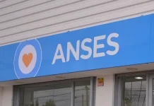 ANSES: quiénes cobran este 1° de diciembre y cómo sigue el cronograma