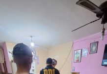 Mataron a un hombre para robarle la moto en Mar del Plata: detuvieron a un joven de 18 años y otro sospechoso sigue prófugo