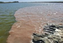 Procesaron al presidente de un frigorífico por arrojar residuos contaminantes al río Salado
