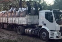 Secuestraron más de 5 toneladas de hojas de coca en dos operativos en Salta y Córdoba