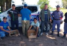 Vendía pichones de tucanes por WhatsApp y fue atrapado al caer en una trampa de la Policía de Chaco