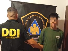 Atropelló, mató y se fugó en Pilar: detuvieron a un sospechoso de 19 años