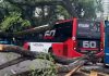 Cayó un árbol en plena avenida, provocó un choque entre dos colectivos y cuatro personas resultaron heridas
