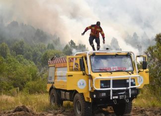 Chubut: declararon “contenido” el incendio en el Parque Nacional Los Alerces tras más de un mes de lucha contra el fuego