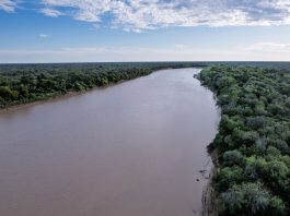 Crecidas en Salta: el río Bermejo superó los 4 metros y advierten por una situación similar en el Pilcomayo