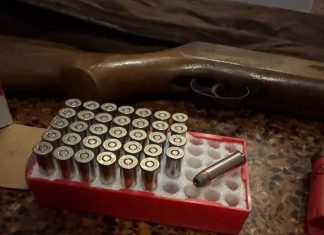 Denunciaron a un vecino de Recoleta que disparaba desde su balcón con un rifle de aire comprimido