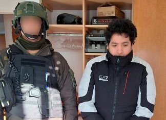 El vuelo narco de la reina de belleza: el negocio del empresario peruano detrás de la avioneta con 359 kilos de cocaína