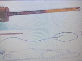 Qué descubrió la Justicia en el caso del chico atado por su madre en La Matanza