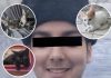 “Asesino de gatitos”: la cronología de las muertes que investiga la Justicia y otros casos misteriosos
