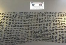 Atraparon a un ciudadano paraguayo con casi 900 dosis de pasta base en la Villa 31: tenía pedido de captura