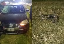 El conductor dio alcoholemia cero: qué investiga la Justicia tras la muerte de un nene de 9 años en la Panamericana
