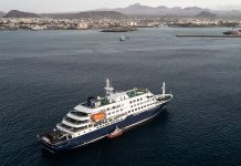 Tras los contagios de hantavirus en el crucero MV Hondius, investigan el recorrido de los pasajeros por la Argentina