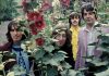 5 covers memorables de «Helter Skelter» de The Beatles