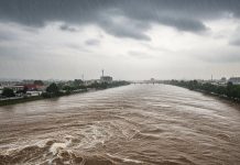 Alerta por “El Niño”: Misiones prepara planes de emergencia ante la posibilidad de temporales e inundaciones