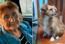 Buscan a una mujer de 79 años en Berazategui que salió a caminar con su perra y no volvió