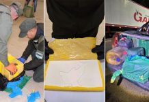 Circulaba por una ruta en Tucumán, lo detuvieron en un control y le hallaron casi media tonelada de cocaína