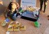 Desarticularon una red narco que operaba en Salta y Catamarca