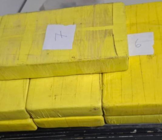 Detuvieron a dos hombres con más de siete kilos de cocaína en la autopista Buenos Aires-La Plata