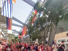 Fiebre mundialista en Noruega: en el parlamento imitaron el festejo vikingo que es furor en la Copa del Mundo