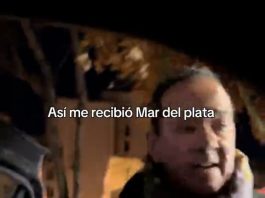 Habló la Miss Universo CABA 2026 tras ser agredida por un taxista en Mar del Plata: “Me decía que todos los porteños somos soberbios”
