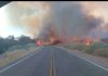 Incendio en Cafayate: se registraron más de 200 hectáreas quemadas