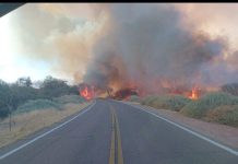Incendio en Cafayate: se registraron más de 200 hectáreas quemadas