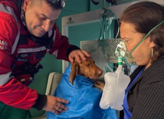 Incendio en un edificio de Colegiales: cinco personas fueron asistidas y oxigenaron a dos perros