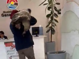 La Pampa: le mataron dos animales, los faenaron en su campo y llevó los restos a la Municipalidad para protestar
