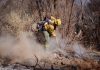 Los focos de incendio que quemaron más de 200 hectáreas están contenidos en Cafayate