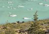 Multaron a un grupo de turistas brasileños por ingresar a un sector protegido del Parque Nahuel Huapi