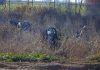 Murió una adolescente que estaba internada por el vuelco de un auto en el sur de Santa Fe y ya son tres los fallecidos