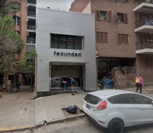 Plan de pagos por un bebé: los chats para captar a las mujeres de Córdoba que vendieron sus vientres por 10 mil dólares