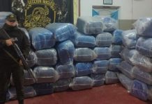 Secuestran más de mil kilos de hojas de coca y cerca de 22 mil paquetes de cigarrillos en Salta