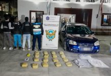 Secuestraron más de 205 kilos de droga tras un operativo en Salta y hay dos personas detenidas