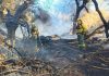 Tras los incendios en Cafayate, el municipio prohibió que se realicen loteos en zonas afectadas