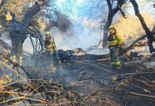 Tras los incendios en Cafayate, el municipio prohibió que se realicen loteos en zonas afectadas