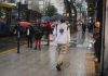 Vuelven las lluvias al AMBA y para gran parte del país: cómo estará el tiempo durante el fin de semana