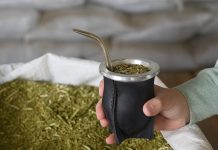 Yerba mate: cuáles son las diferencias entre las variedades con palo, sin palo, orgánicas y artesanales