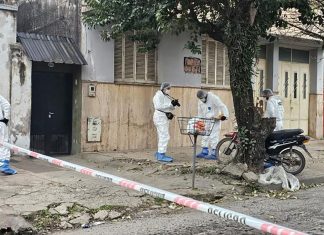 Chocó contra un árbol y murió: en el hospital descubrieron que tenía una herida de bala en la espalda