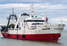 Desesperada búsqueda de un marinero que cayó al mar en medio de un fuerte temporal frente a Santa Cruz